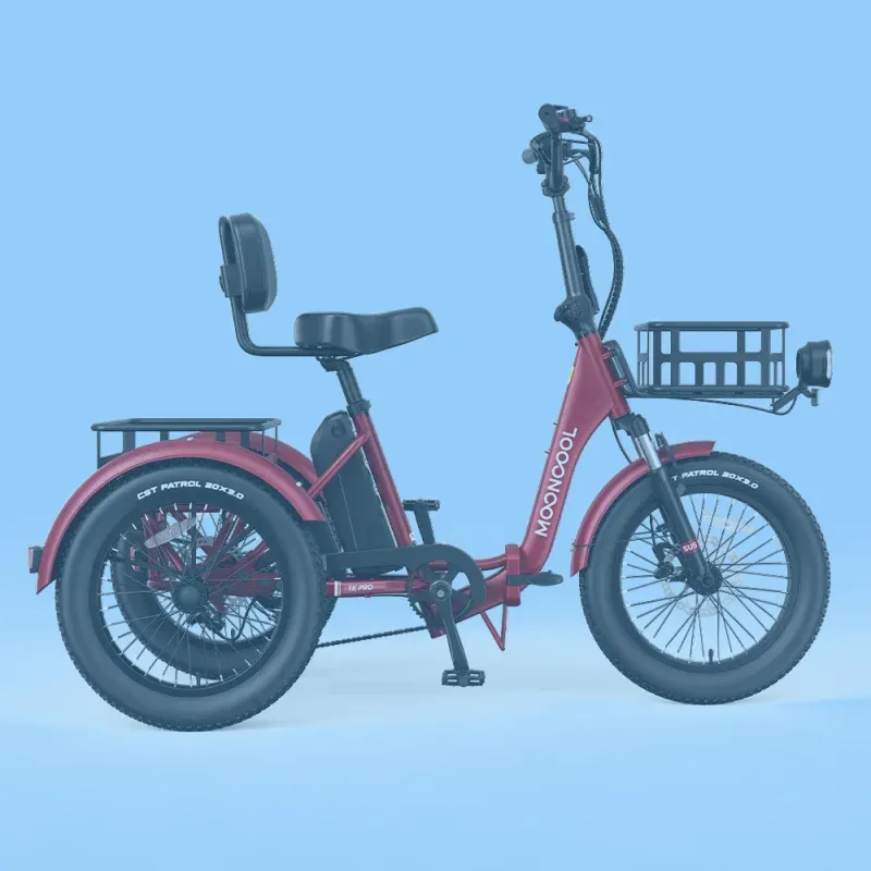 Mooncool TK Pro Electric Trike