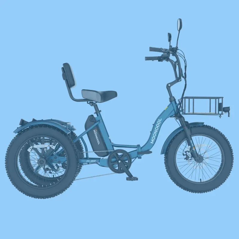 Mooncool FT1 Fat Tire Electric Trike