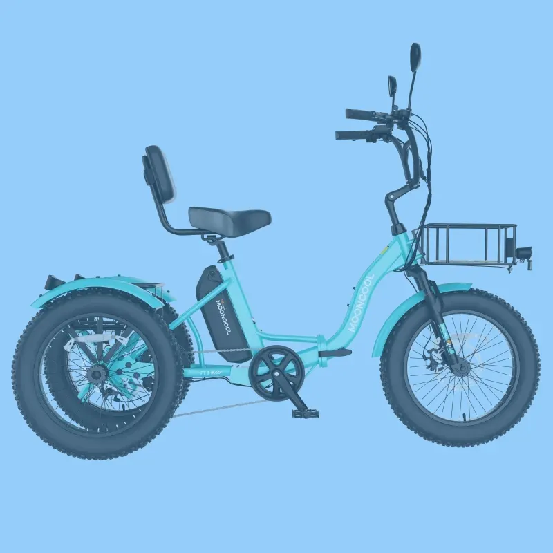 Mooncool FT1 Fat Tire Trike