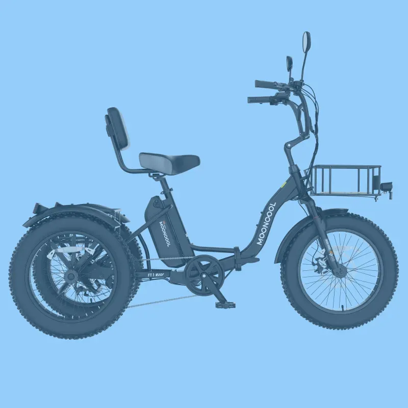 Mooncool FT1 Fat-Tire Electric Trike